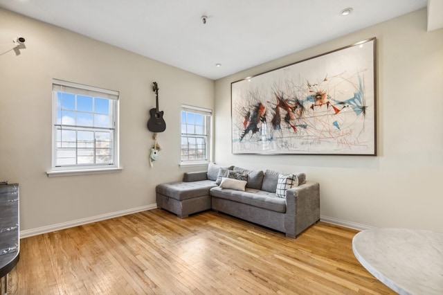 living room featuring light hardwood / wood-style floors