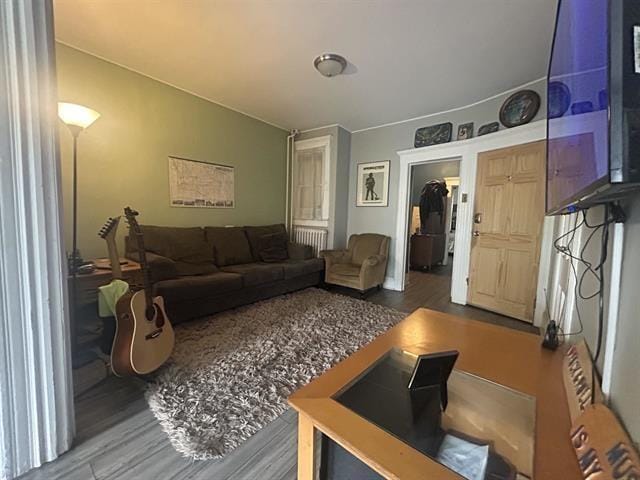 living room with hardwood / wood-style flooring