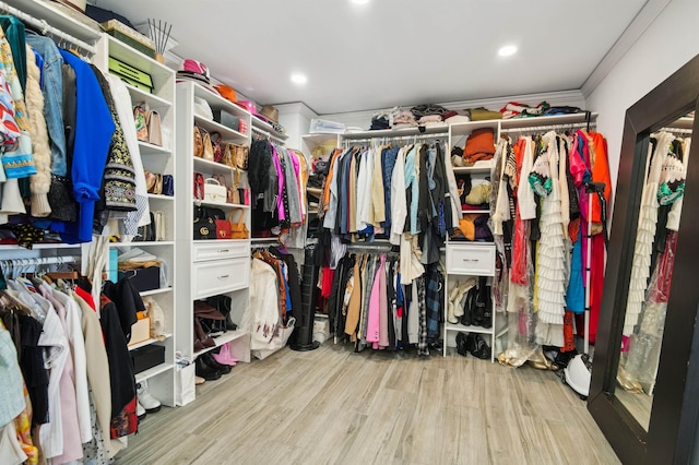 walk in closet with wood finished floors