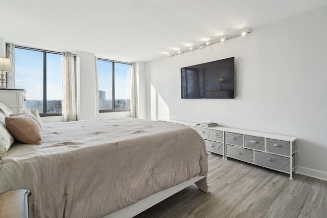 bedroom with rail lighting, baseboards, and wood finished floors