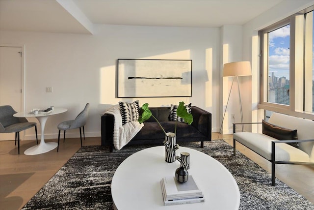 living room with hardwood / wood-style floors