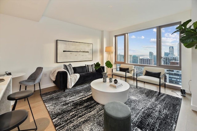 living room with hardwood / wood-style floors