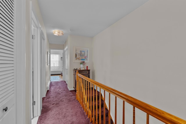 27 E 34th St, Bayonne, NJ 07002 - hall with carpet flooring and an upstairs landing