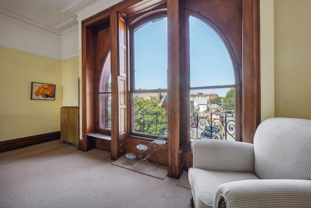 living area with ornamental molding, carpet, baseboards, and radiator heating unit