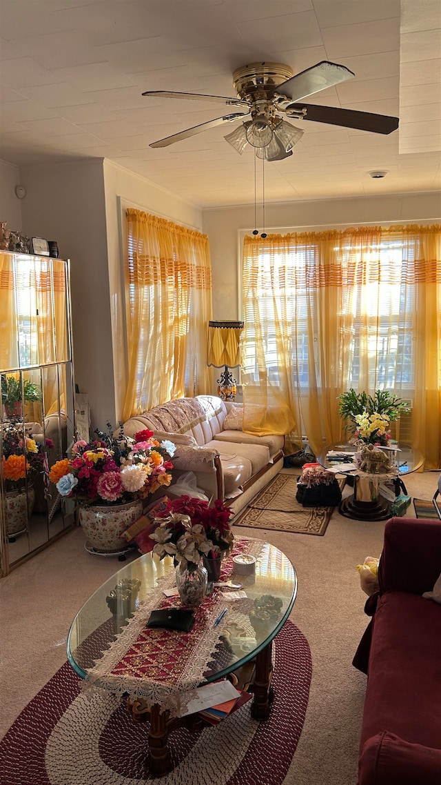 carpeted living room featuring ceiling fan and plenty of natural light