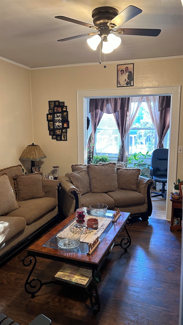 living room with ceiling fan, crown molding, and dark hardwood / wood-style flooring