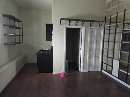 interior space featuring dark wood-type flooring