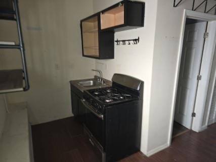 kitchen featuring dark hardwood / wood-style flooring, black gas stove, and sink