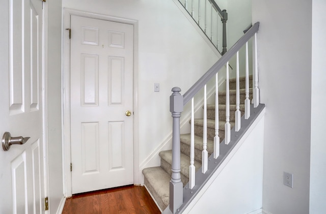 18 Dogwood St, Jersey City, NJ 07305 - photo 16