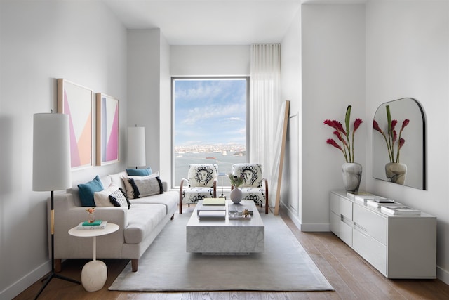 living room featuring light hardwood / wood-style floors