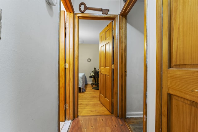 hallway with light wood-style floors