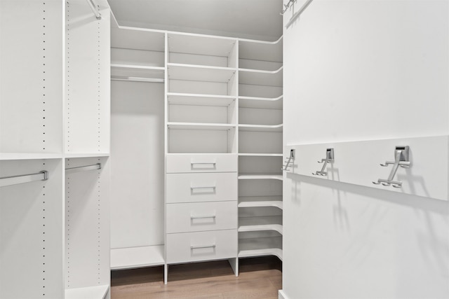 spacious closet featuring hardwood / wood-style floors