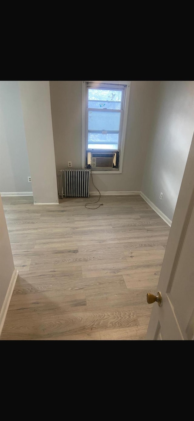 227 Freeman Ave, Jersey City, NJ 07306 - photo 9