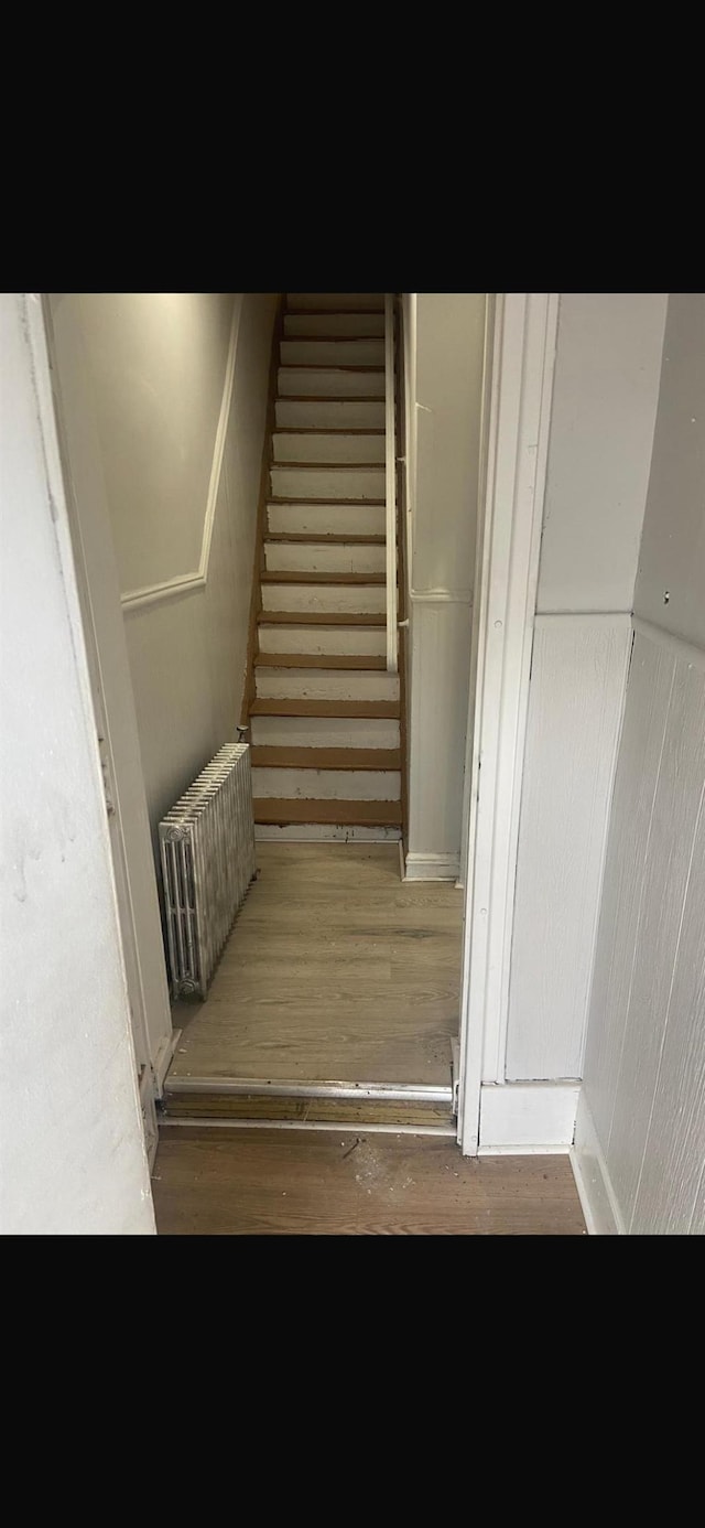227 Freeman Ave, Jersey City, NJ 07306 - photo 10
