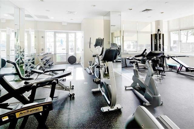 exercise room with plenty of natural light and french doors