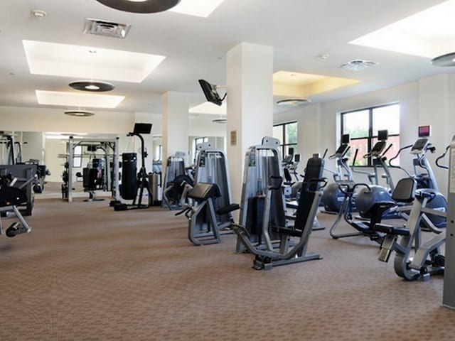 exercise room featuring visible vents, a tray ceiling, and carpet floors