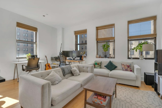 living room featuring wood finished floors and a healthy amount of sunlight