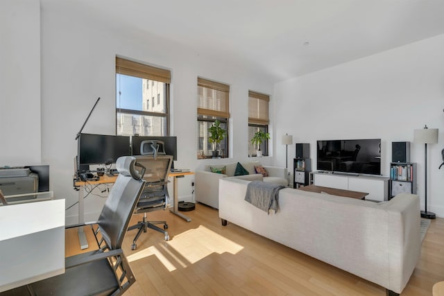 office area featuring light wood-style flooring