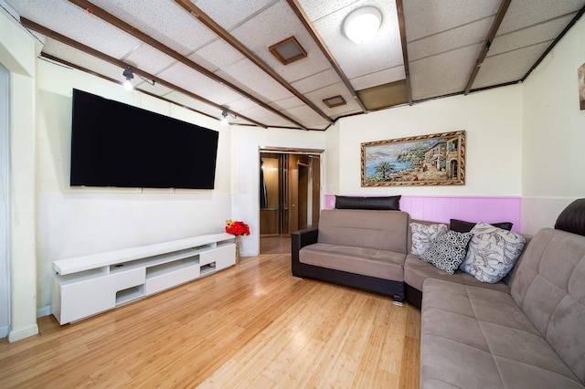 living room featuring wood-type flooring