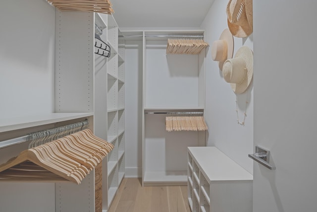 spacious closet featuring light hardwood / wood-style floors