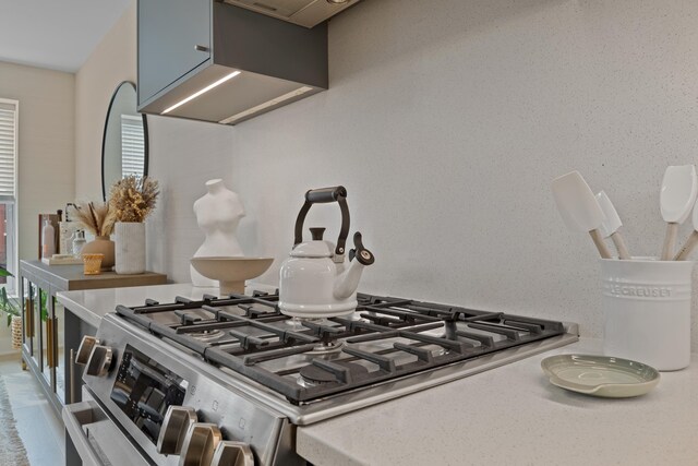 room details with stainless steel range with gas stovetop