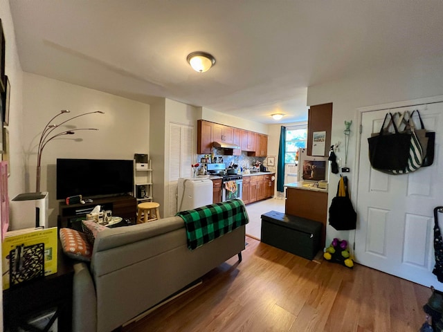 living room with light wood-type flooring