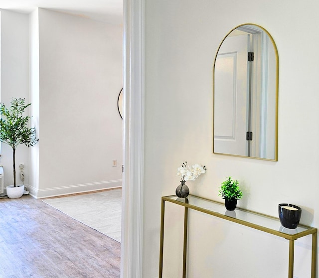 10 Regent St Unit 807, Jersey City, NJ 07302 - detailed view of wood finished floors and baseboards