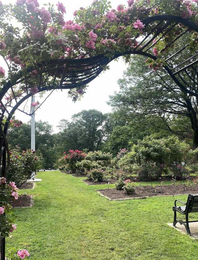 47 Darling Ave, Bloomfield, NJ 07003 - view of green lawn