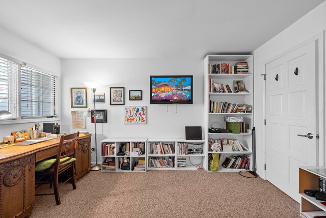 home office featuring carpet flooring