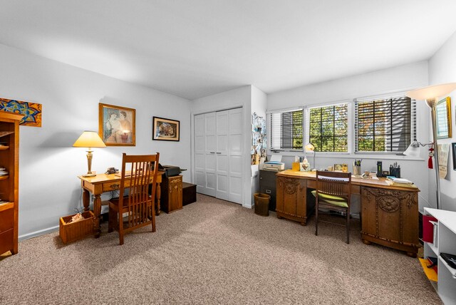 office featuring light colored carpet and a wealth of natural light