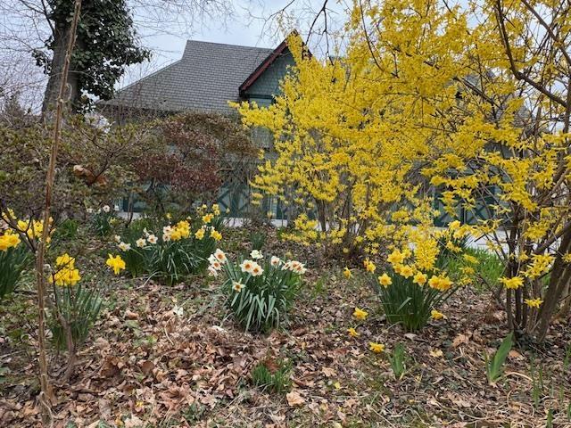 74 Sherman Pl, Jersey City, NJ 07307 - view of side of property