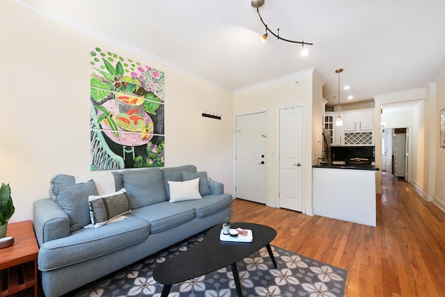 living area with wood finished floors, ornamental molding, and baseboards