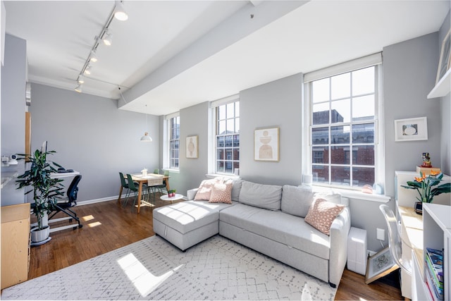 living area with baseboards, wood finished floors, and rail lighting