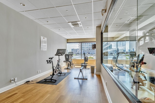 exercise room with wood-type flooring and a drop ceiling