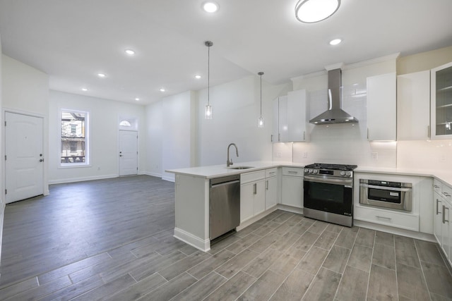 kitchen featuring decorative backsplash, wall chimney exhaust hood, a peninsula, stainless steel appliances, and a sink