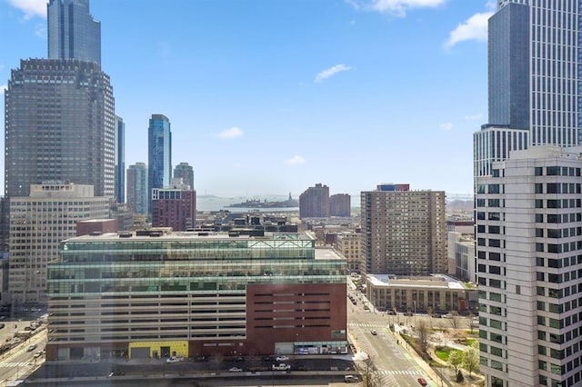 88 Morgan St Unit 2206, Jersey City, NJ 07302 - skyline view
