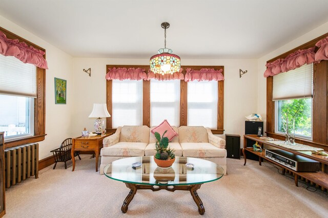 532 Passaic Ave, Nutley, NJ 07110 - living room featuring radiator, healthy amount of natural light, and carpet flooring