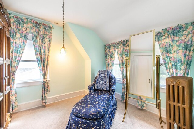 532 Passaic Ave, Nutley, NJ 07110 - living area featuring vaulted ceiling, carpet floors, baseboards, and radiator