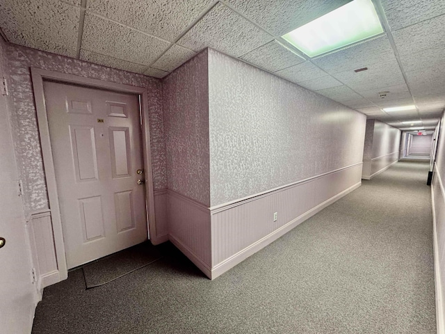 corridor featuring carpet flooring, a paneled ceiling, and wainscoting