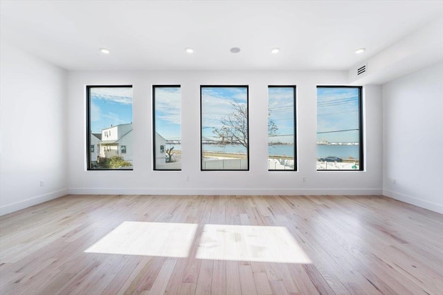 empty room featuring plenty of natural light and light hardwood / wood-style flooring