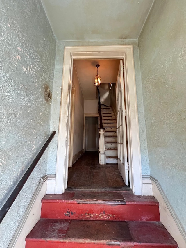367 Webster Ave, Jersey City, NJ 07307 - photo 22