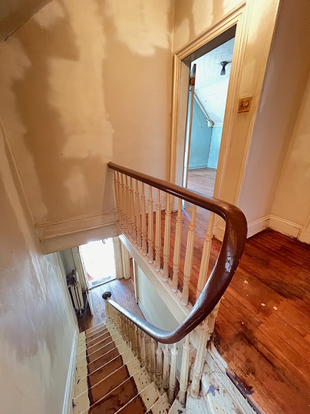 367 Webster Ave, Jersey City, NJ 07307 - photo 13