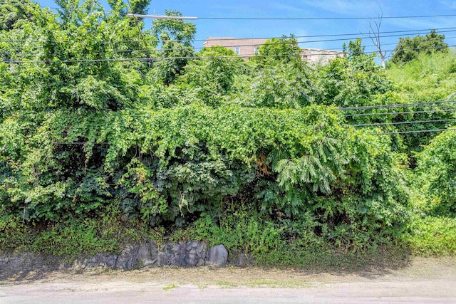 55 Hackensack Plank Rd, Weehawken, NJ 07086 - photo 3
