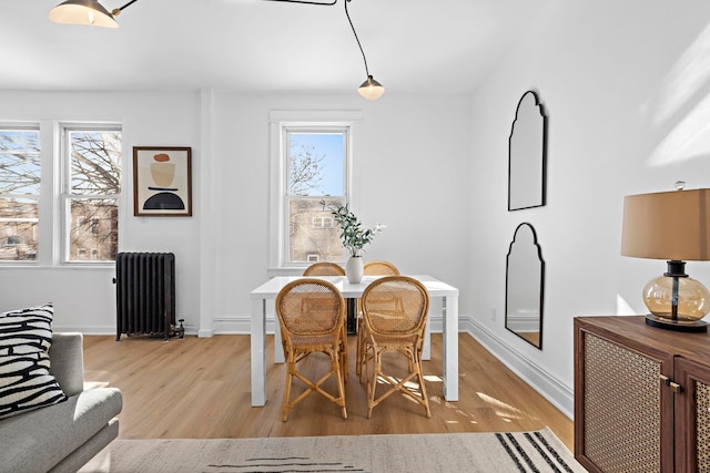 dining room with radiator, light hardwood / wood-style flooring, and a wealth of natural light