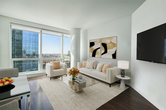 living room featuring plenty of natural light, floor to ceiling windows, and wood-type flooring