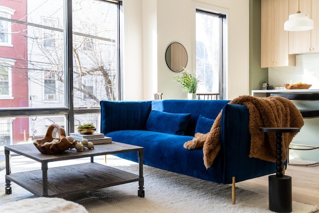 living area featuring wood finished floors
