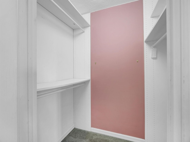 250 Gorge Rd Unit 16D, Cliffside Park, NJ 07010 - spacious closet featuring carpet flooring
