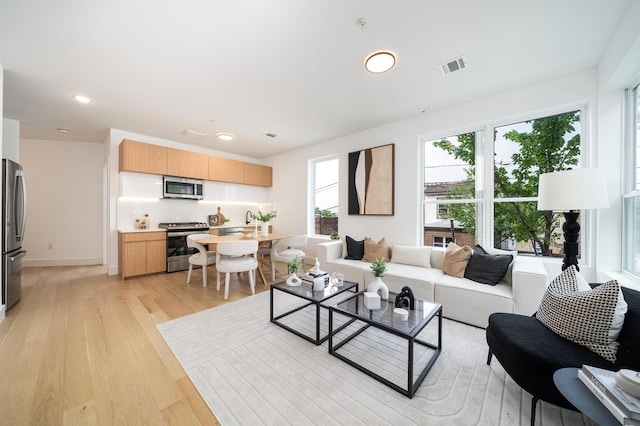 living room featuring light hardwood / wood-style floors