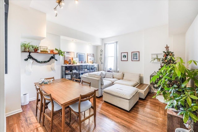 living room featuring hardwood / wood-style flooring