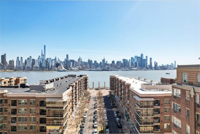 20 Avenue At Port Imperial Unit 113, West New York, NJ 07093 - water view featuring a skyline view